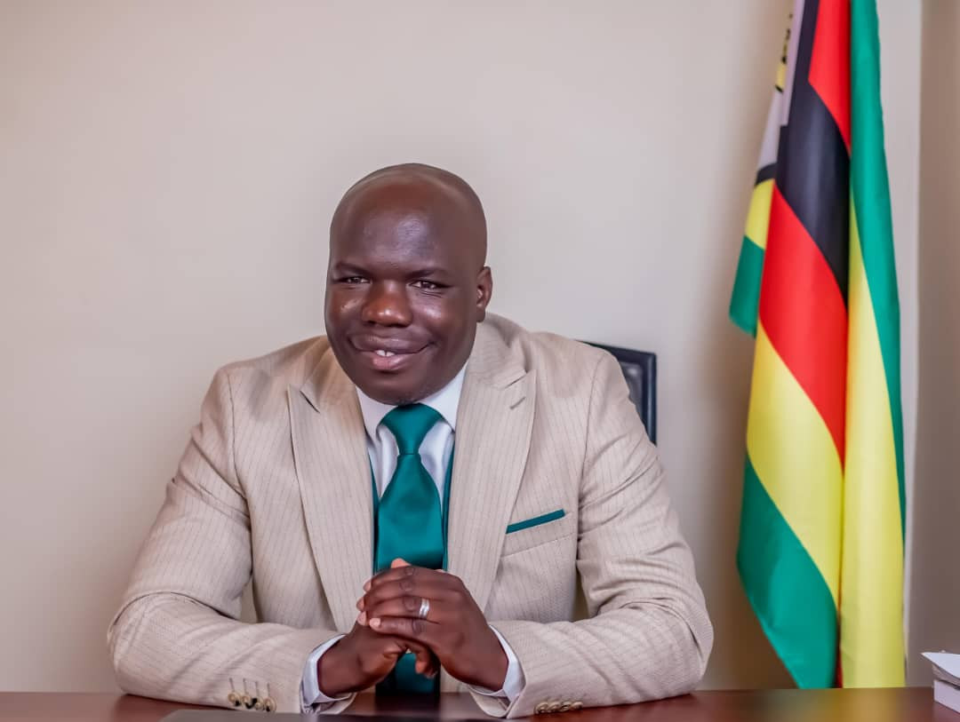 SMEs Have the Capacity to Generate 3GW of Electricity, All They Need Is Government Support – Dr Edzai Kachirekwa